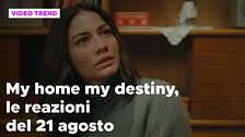 My home my destiny, il riassunto e le reazioni del 21 agosto