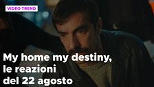 My home my destiny, il riassunto e le reazioni del 22 agosto