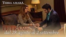 Le trame dal 28 agosto al 2 settembre