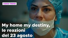 My home my destiny, il riassunto e le reazioni del 23 agosto