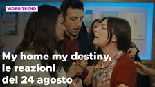 My home my destiny, il riassunto e le reazioni del 24 agosto