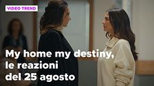 My home my destiny, il riassunto e le reazioni del 25 agosto