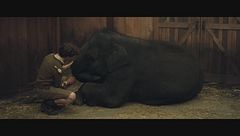 Zoo - Un amico da salvare