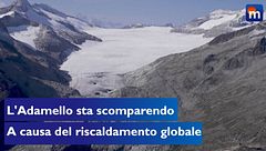 Il ghiacciaio dell'Adamello sta scomparendo a causa del riscaldamento globale