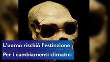 I cambiamenti climatici portarono l'uomo a un passo dall'estinzione