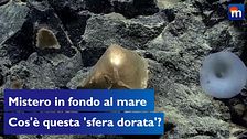 Mistero sul fondo dell'Oceano, trovata una "sfera dorata": "Non sappiamo cosa sia"
