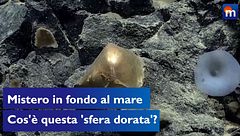Mistero sul fondo dell'Oceano, trovata una "sfera dorata": "Non sappiamo cosa sia"