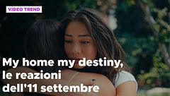 My home my destiny 2, il riassunto e le reazioni dell'11 settembre
