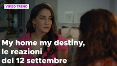 My home my destiny 2, il riassunto e le reazioni del 12 settembre