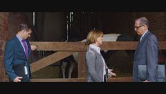 Windstorm - Contro ogni regola