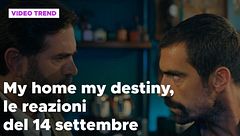 My home my destiny 2, il riassunto e le reazioni del 14 settembre