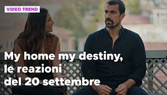 My home my destiny 2, il riassunto e le reazioni del 20 settembre