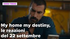 My home my destiny, il riassunto e le reazioni del 22 settembre