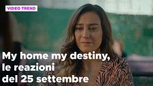 My home my destiny 2, il riassunto e le reazioni del 25 settembre