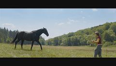 Windstorm 4: Il vento sta cambiando