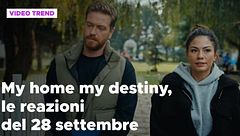 My home my destiny 2, il riassunto e le reazioni del 28 settembre