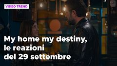 My home my destiny 2, il riassunto e le reazioni del 29 settembre