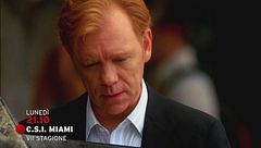 C.S.I. Miami VII stagione