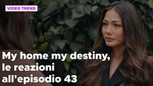 My home my destiny 2, il riassunto e le reazioni all'episodio 43