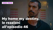 My home my destiny 2, il riassunto e le reazioni all'episodio 46