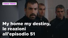 My home my destiny 2, il riassunto e le reazioni all'episodio 51