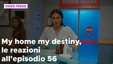 My home my destiny 2, il riassunto e le reazioni all'episodio 56
