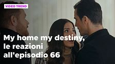 My home my destiny 2, il riassunto e le reazioni all'episodio 66