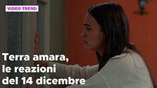 Terra amara, il riassunto e le reazioni della puntata del 14 dicembre