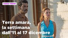Terra amara, il riassunto della settimana dall'11 al 17 dicembre