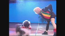 Alessia Gioffi balla "Rollin On the River" di Tina Turner insieme al suo cane