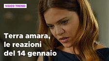 Terra amara, il riassunto e le reazioni della puntata del 14 gennaio