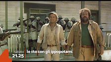 Io sto con gli ippopotami