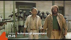 Io sto con gli ippopotami