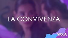 Viola come il mare 2: La convivenza