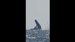 Paura per Alinghi: albero della barca spezzato