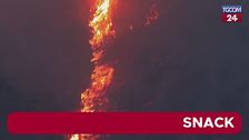 Napoli, grosso incendio sulla collina dei Camaldoli: a fuoco la vegetazione