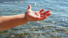 Marevivo e Mediafriends: Dai una mano al mare