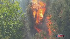Allarme incendi da Nord a Sud