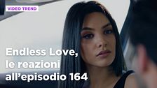 Endless Love, il riassunto e le reazioni all'episodio 164