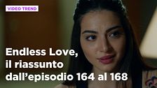 Endless Love, il riassunto dall'episodio 164 al 168