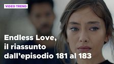 Endless Love, il riassunto dall'episodio 181 al 183