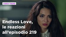 Endless Love, il riassunto e le reazioni all'episodio 219