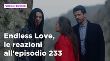 Endless Love, il riassunto e le reazioni della puntata all'episodio 233