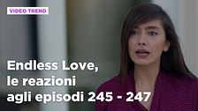 Endless Love, il riassunto e le reazioni agli episodi 245-247