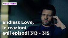 Endless Love, il riassunto e le reazioni agli episodi 313 - 315