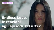 Endless Love, il riassunto degli episodi 321 e 322