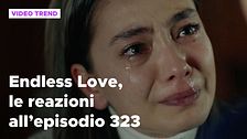 Endless Love, il riassunto e le reazioni all'episodio 323