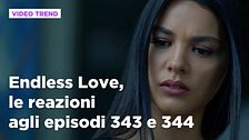 Endless Love, il riassunto e le reazioni agli episodi 343 - 344