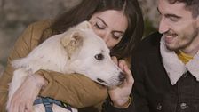 1000 adozioni grazie a Dalla parte degli animali