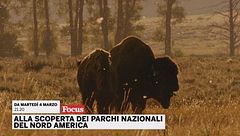 Alla scoperta dei parchi nazionali del Nord America